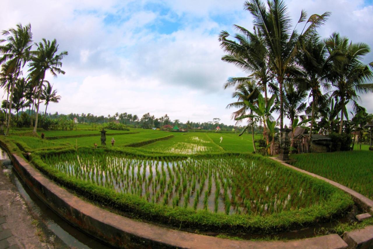 Vinarya Villa Ubud  Luaran gambar